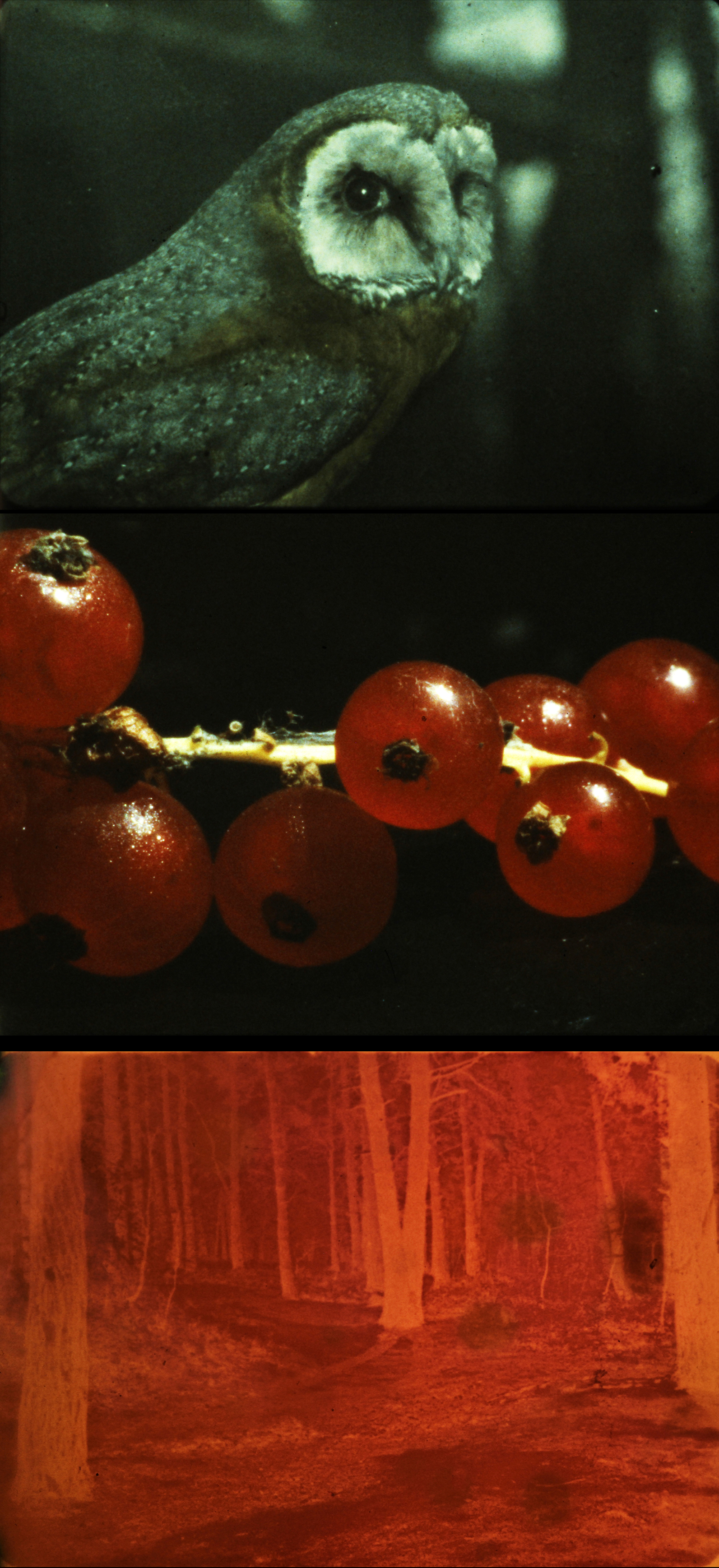 and so it came about width=